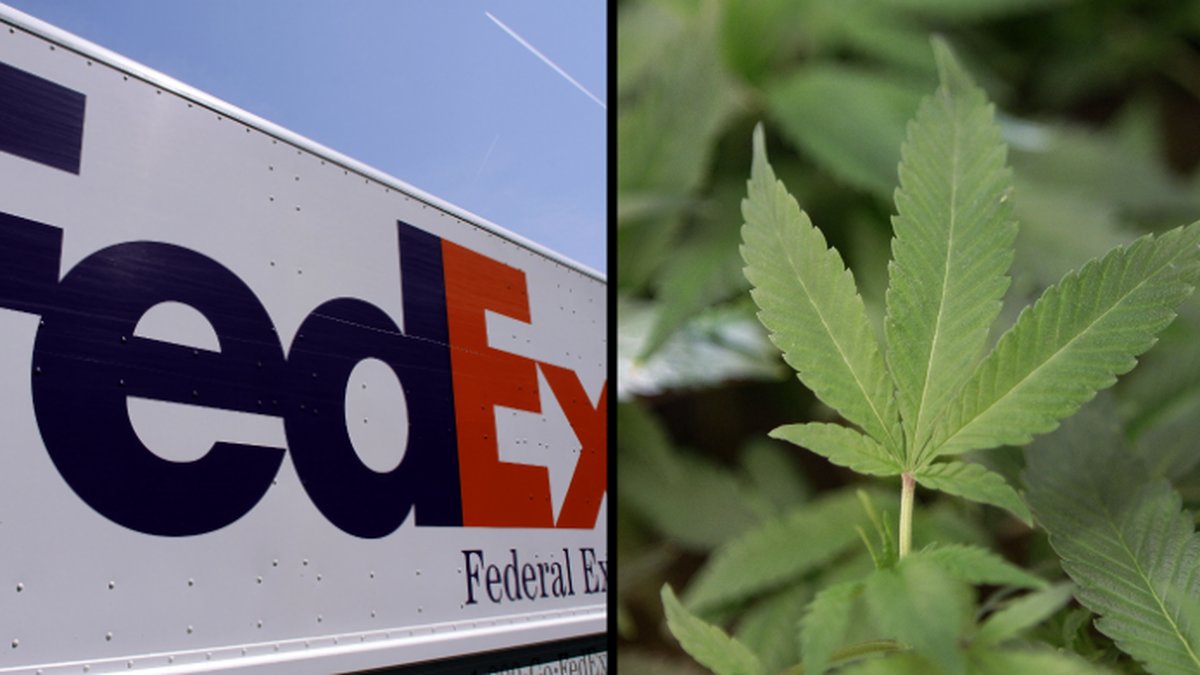 FedEx levererade på torsdagen ett paket med marijuana till George Burton, som inte förstod någonting.